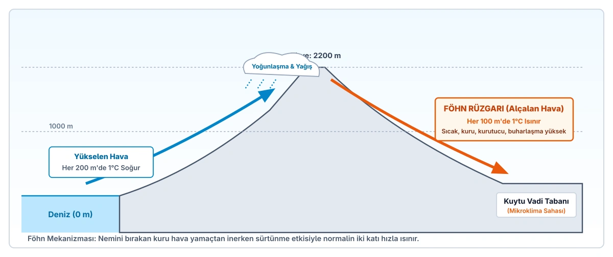 Föhn rüzgarı mekanizmasını ve yamaç gradyanını gösteren kesit şeması