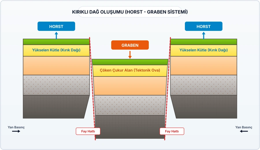 Fay hatları boyunca tabakaların kırılarak horst ve graben oluşturmasını gösteren jeolojik blok diyagramı.
